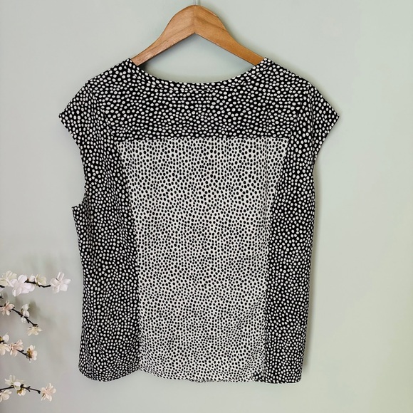 Talbots Polka Dot Colorblock Blouse Size 2X - Picture 3 of 4